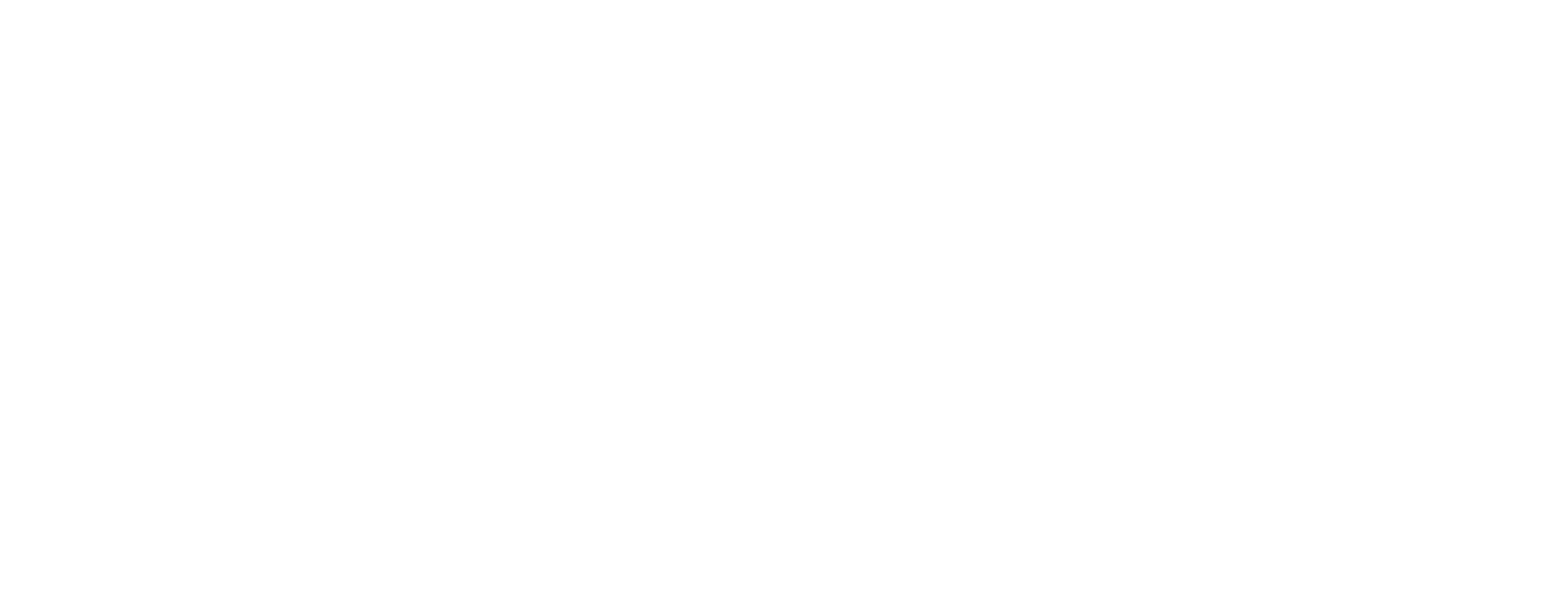 Logo Ferdz